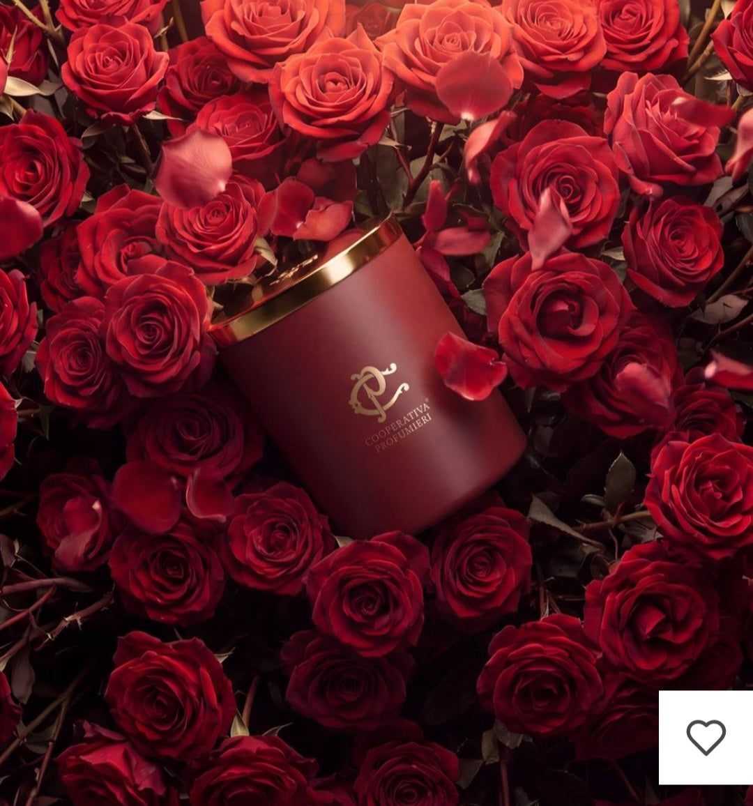 ROSÉA - Bougie parfumée
400 g | Rose & Cannelle
